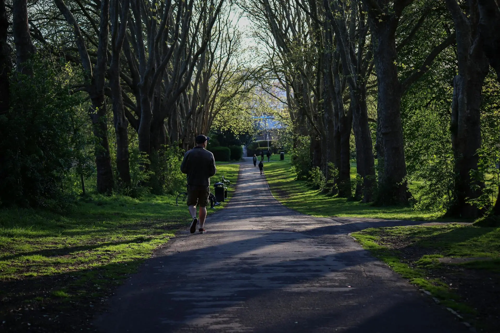 life-transitions-therapy-vaughan-innersight
