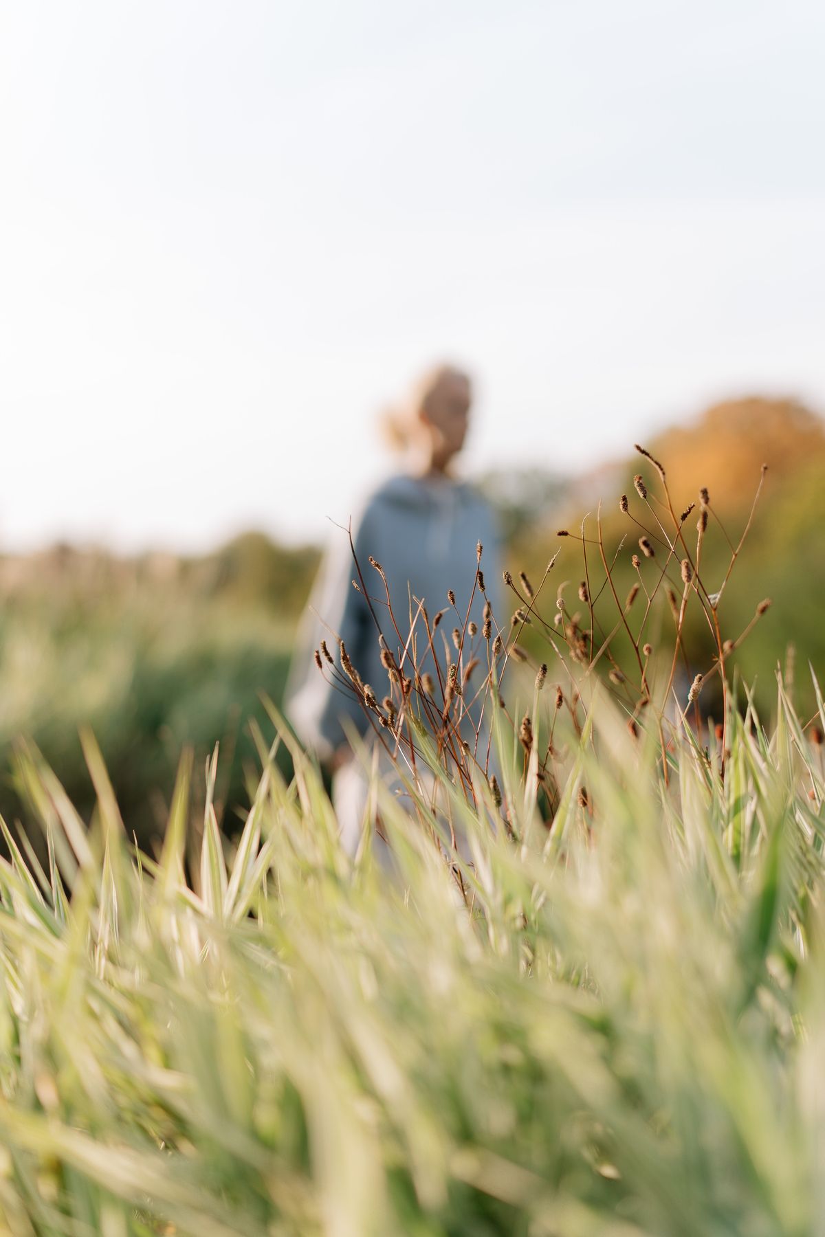 A person walking through a sunlit field, representing values-based action in acceptance and commitment therapy