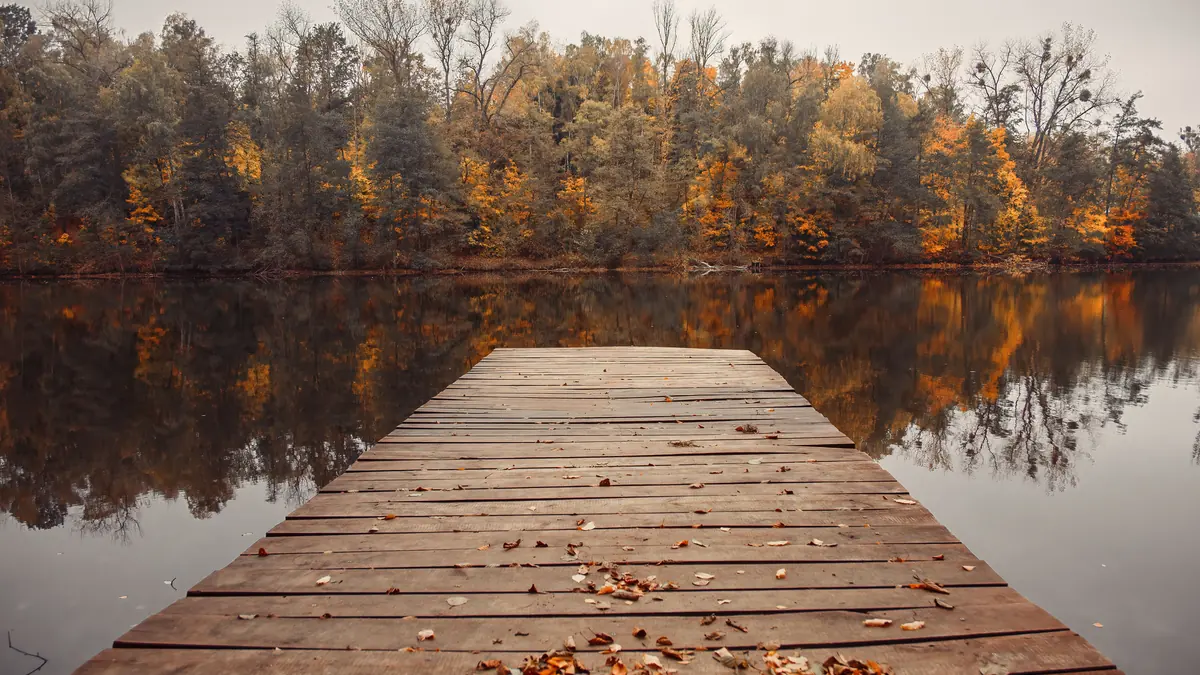 Barrie Therapy Guide: Mental Health Resources and What to Look For